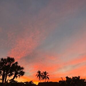 Meet your Posher, Becky anthony